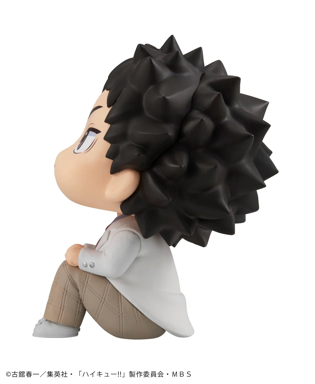 LOOK UP SERIES Hajime Iwaizumi (Repeat)