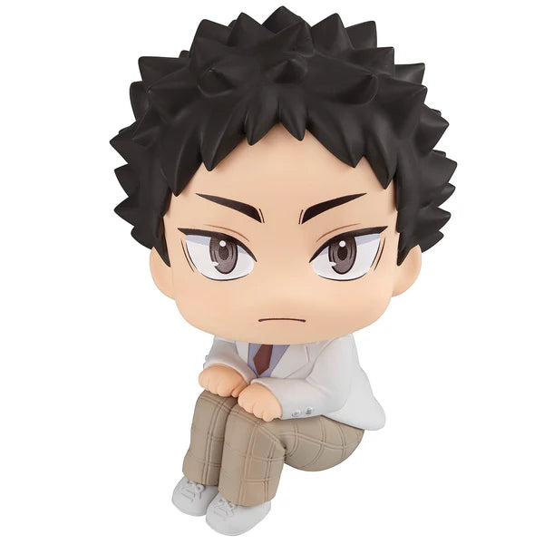 LOOK UP SERIES Hajime Iwaizumi (Repeat)